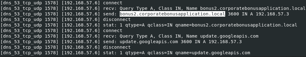 dns.png